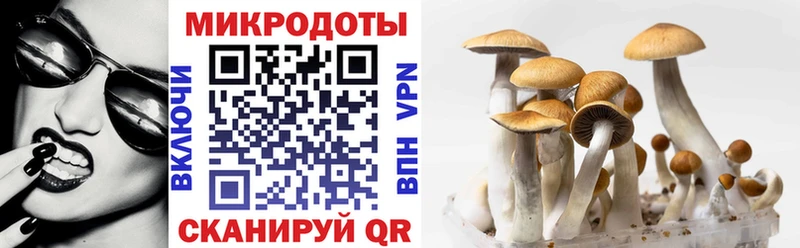 Галлюциногенные грибы ЛСД  Могоча 